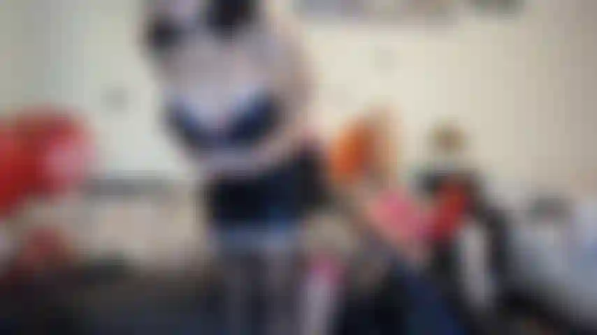 Roupa sexy para garota desagradável.