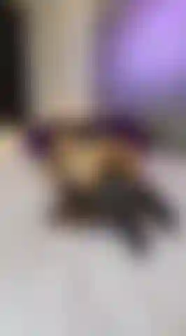 Cavalgando meu travesseiro.