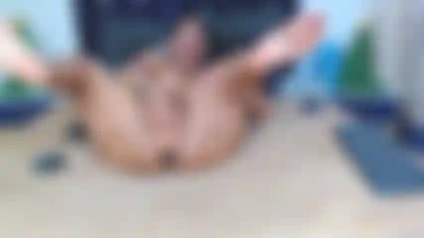 Foda forte e rápido minha bucetinha molhada.