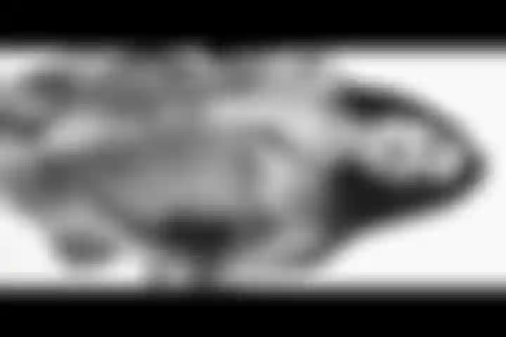 Briana está sempre pronta para você.