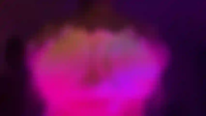 Peitos de coelho saltitantes.