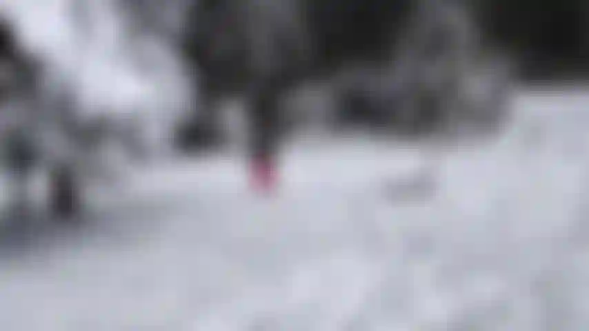 Minha paisagem preferida no inverno.