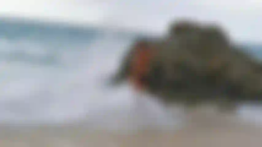 Brincando nas ondas.