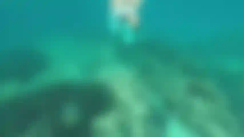 Um último mergulho e lá vou eu.