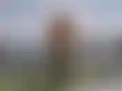 Ficando molhado e flexionando em minha camisa de baixo.