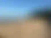 Caminhando na praia, depois nadando.