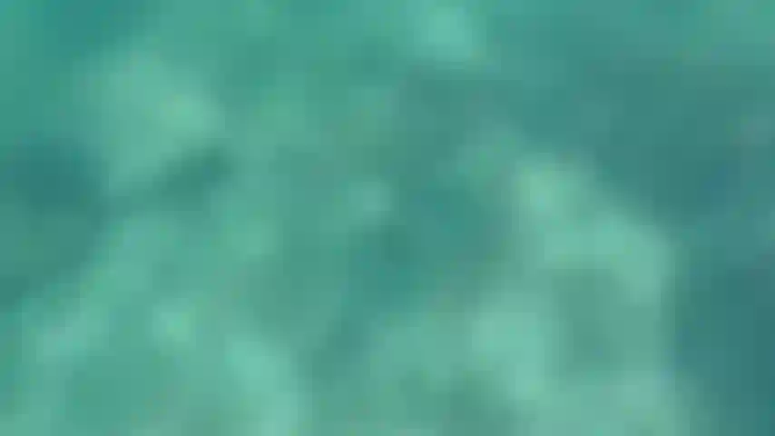 Nu mergulhando com minhas nadadeiras.