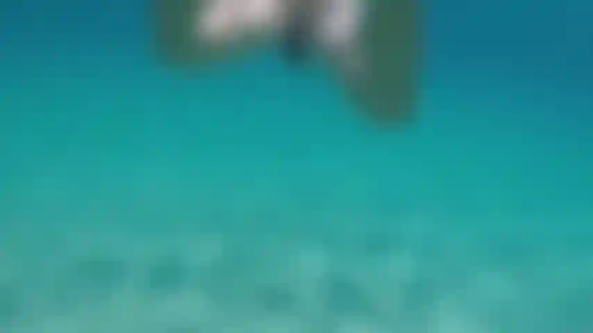 Nadando nu em águas claras.