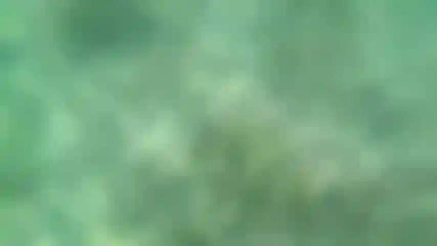 Relaxando e nadando nu com minhas nadadeiras.