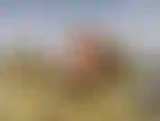 Ficando nu e relaxando em algumas pedras.