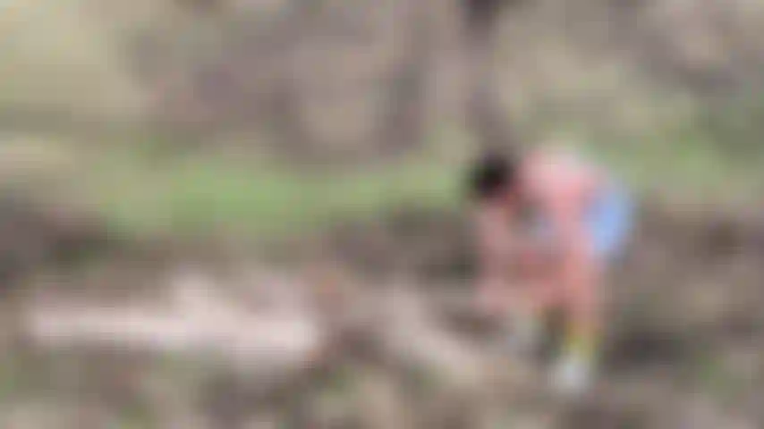 Wondering around the woods, I found some lumber to exercise a bit.