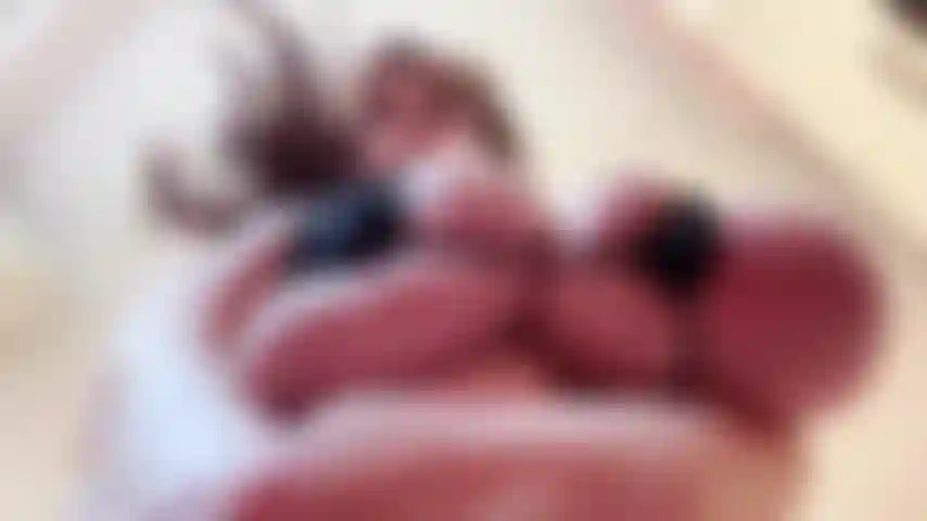 Com micro biquíni, seios oleosos e conversas sujas.