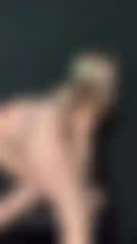 Me divirto com domi.