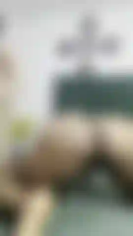 Um pau branco estica meu cuzinho preto para ver o que tem dentro.