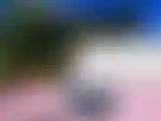 Bichano ao ar livre me fode fora me masturbando e usando um brinquedo!