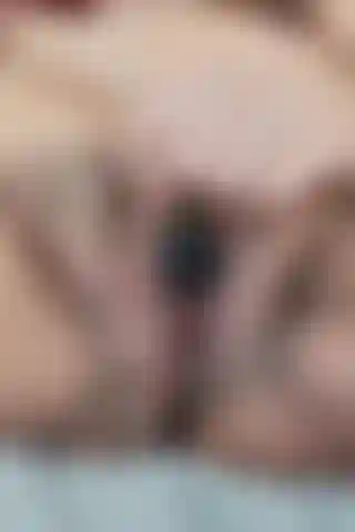 Pensei que gozar uma vez depois de esticar minha bucetinha com dexter bastasse, mas não foi! Dou um zoom bem perto e uso meu mini vibrador e me faço gozar de novo e foi tão bom pra caralho, gozei com tanta força pela 2ª vez! 35 Grávida de semanas!