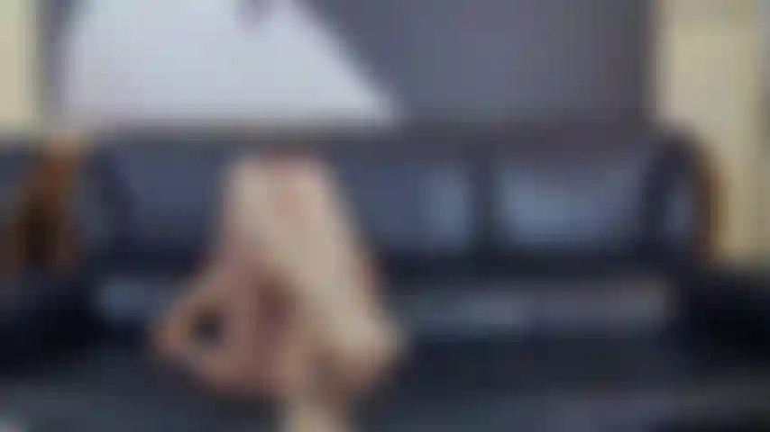 Meia-calça, pés e pernas.