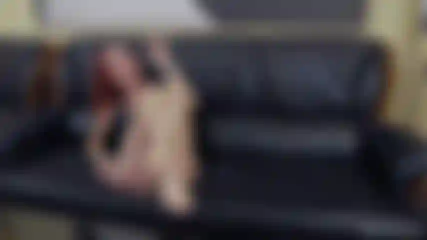 Ajoelhe-se aos meus pés.