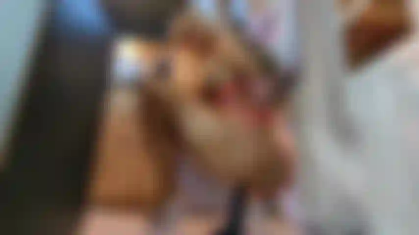 Pussy foda com vibrador grande.