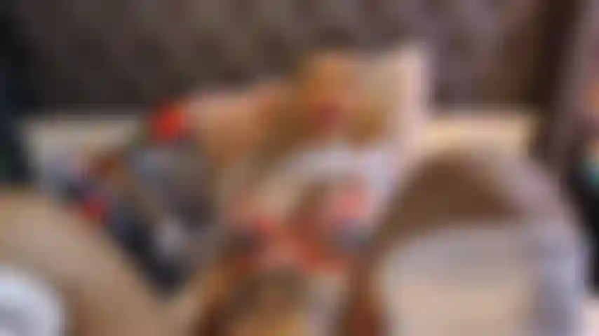 Antes de comer tem o aperitivo.