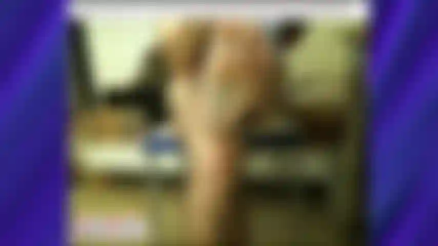 Os pés do treinador karl na estrada em praga [1281].