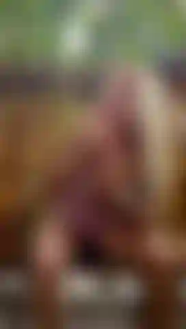 Chupando seu pau duro.