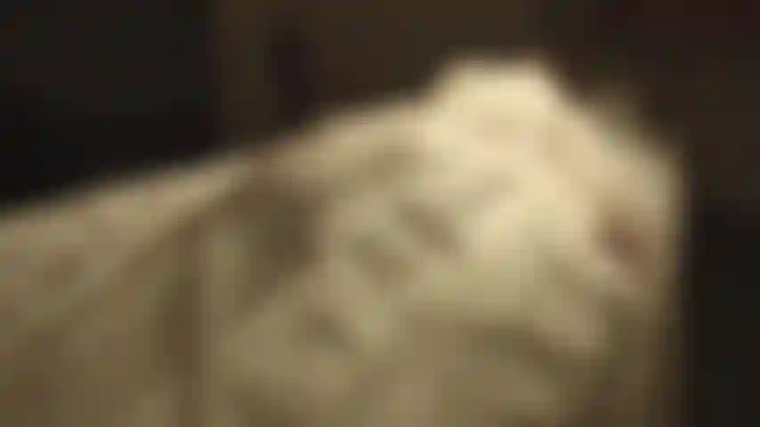 Frankenstein's horny bride - this bride is so hungry for cock. Her nipples are stiff. She discovers her body and her needs. She feels the urge to rub herself and take something hard like a wooden leg to rub her clit. But she wants more. She wants to fuck and feed her pussy with cock.