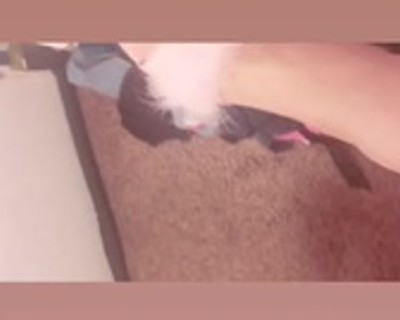 Sexy saltos peludos rosa! : P.