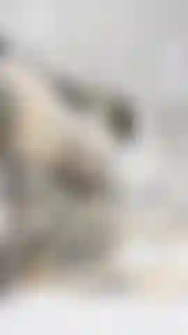 titty tease, twerking, spanking.