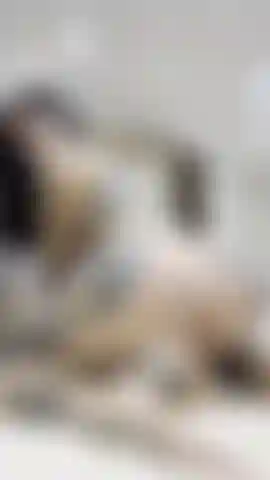 Uma cowgirl reversa com um vibrador.