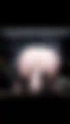 Montando meu novo vibrador de 12".