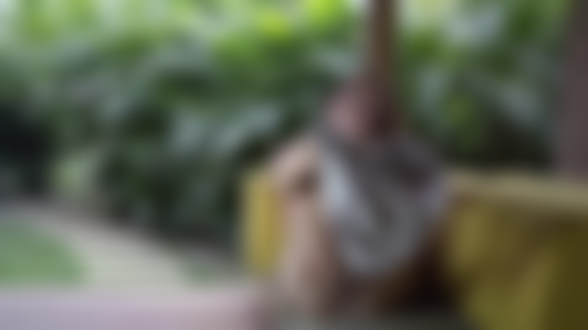 Abrindo minhas pernas para você ver todas as coisas boas.