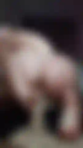 Uma bunda grande montando um vibrador de cowgirl reverso.