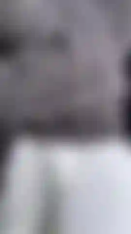 Daddy forgot to wear boxers today. Hope no one sees