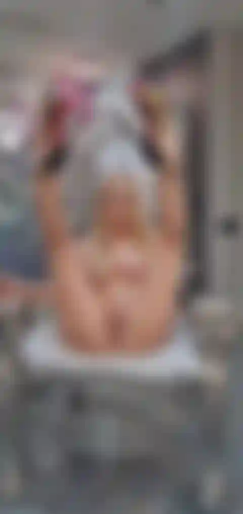 Buceta brinca com vibrador e esguicho.