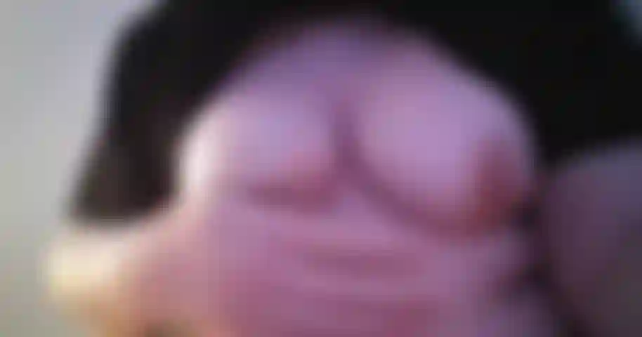 Titty provocação #1.