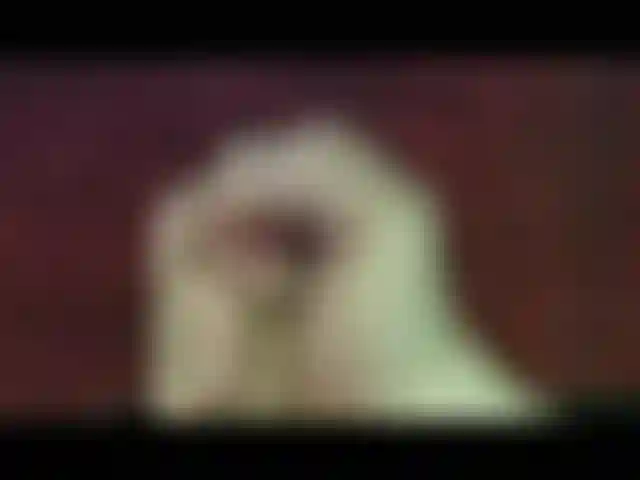 Veja esse pau explodir!