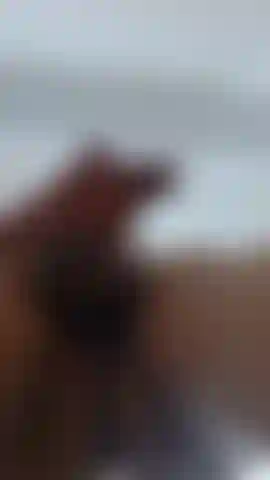 Meu pau enorme derramando todo seu leite.