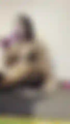 Meu deus, meu traseiro era pequeno demais para isso!