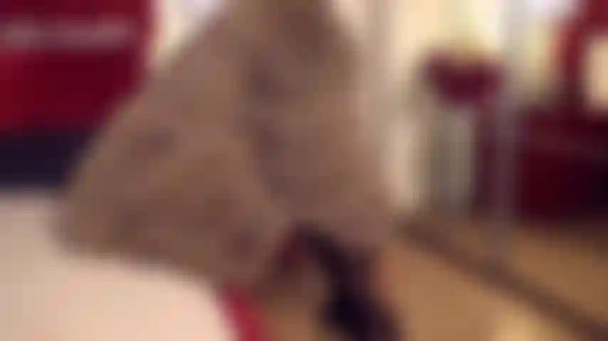 Tendo um momento intenso usando meu casaco de pele.