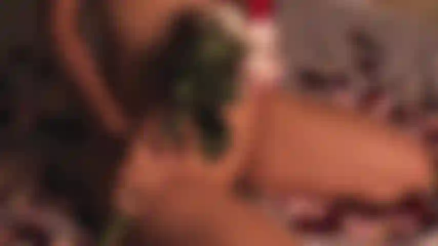 Polinize minha deliciosa flor com seu pólen e deixe-a dentro de mim até terminar.