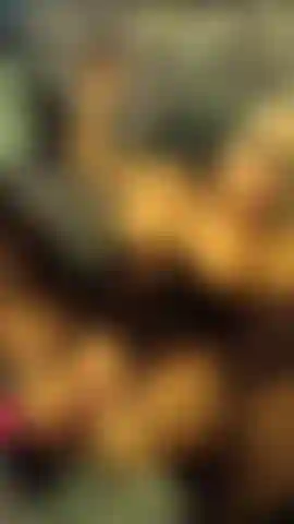 Boa para me masturbar 2 vol 3. Sendo fodida bem