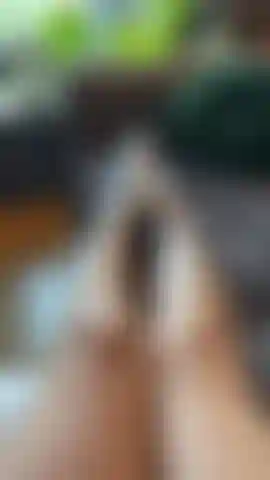 Provocando meus pés com minhas meias brancas de tênis, tirando-as lentamente.