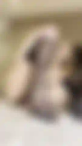 Provocando com meus pés cobertos de meias.