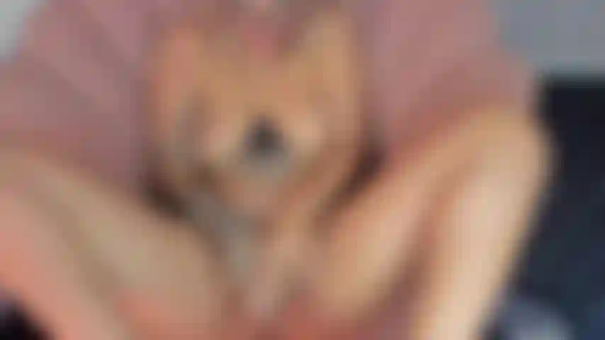 Meus seios balançam no ritmo do seu pau delicioso fodendo minha buceta.