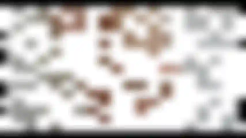 Olha meus pés dizem oi.