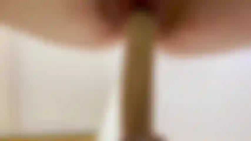 Close up cachorrinho.