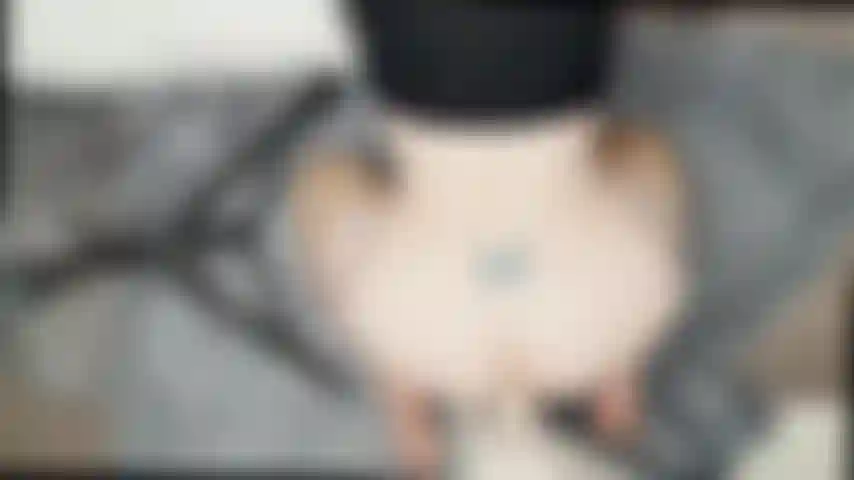 Cachorrinho de vista superior/dildo montado na parede.