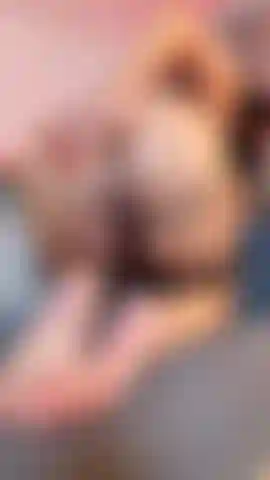 Me preparando para quando você entrar pela porta; hoje, minha bunda é toda sua, e estou de quatro .🔥.