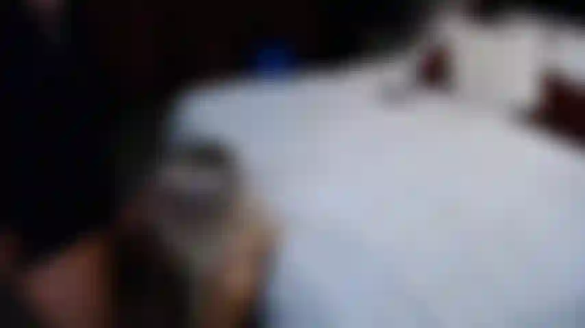 Jenny taylor chupando o pau de bo blake em um show a três.